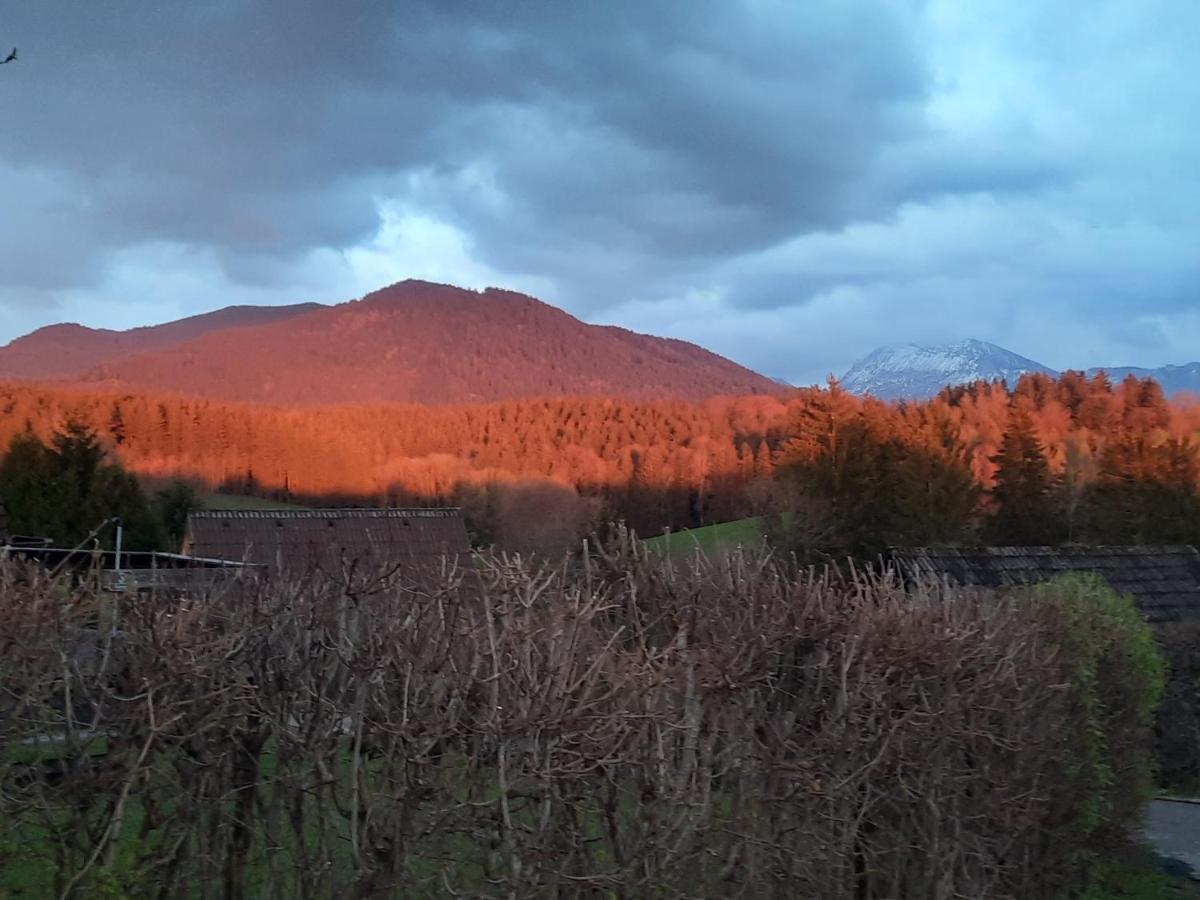 Haus Mit Bergblick Villa Siegsdorf Exteriör bild