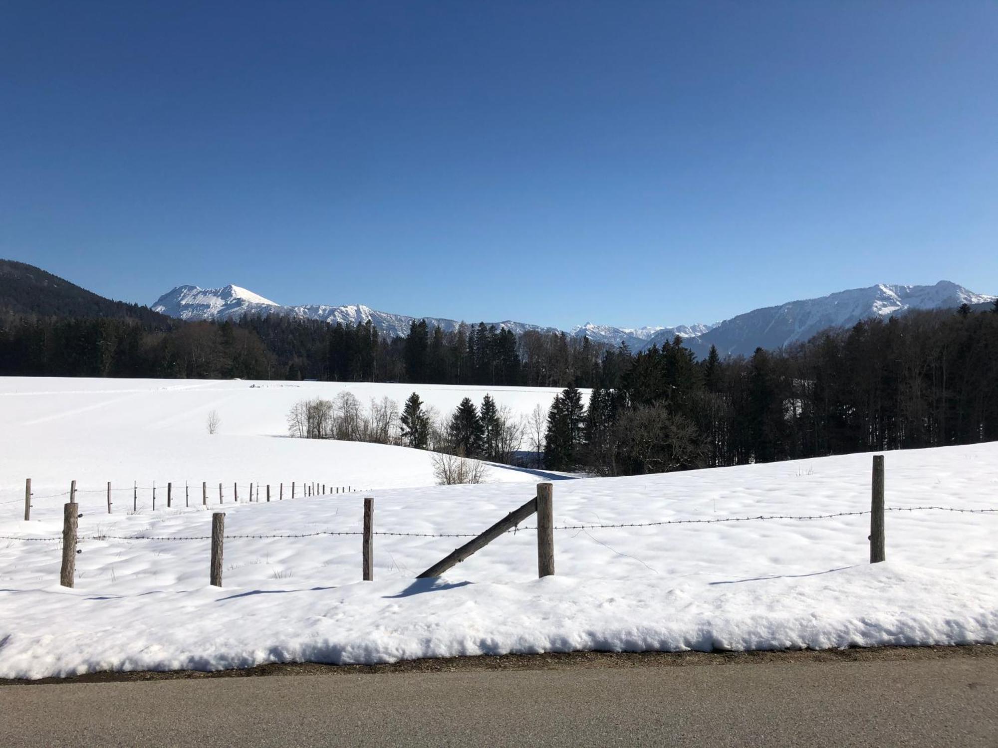 Haus Mit Bergblick Villa Siegsdorf Exteriör bild