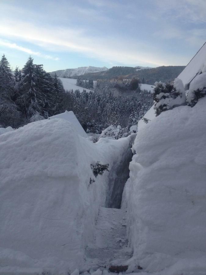 Haus Mit Bergblick Villa Siegsdorf Exteriör bild